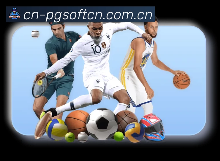 结构优化认证展示